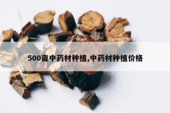 <b>500Ķ��ҩ����ֲ,��ҩ����ֲ�۸�</b>