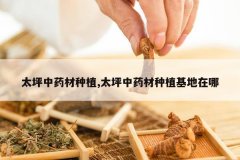 <b>̫ƺ��ҩ����ֲ,̫ƺ��ҩ����ֲ��������</b>