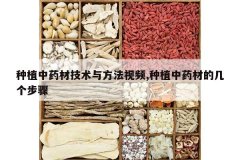 <b>��ֲ��ҩ�ļ����뷽����Ƶ,��ֲ��ҩ�ĵļ�������</b>