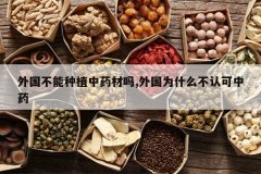 <b>���������ֲ��ҩ����,���Ϊʲô���Ͽ���ҩ</b>