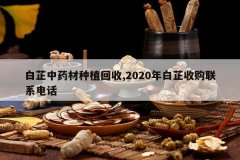 <b>������ҩ����ֲ����,2020������չ���ϵ�绰</b>