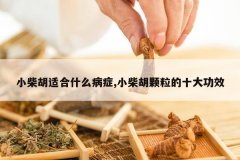 <b>С����ʺ�ʲô��֢,С���������ʮ��Ч</b>