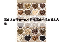 <b>��ɽ�ʺ���ֲʲô��ҩ��,��ɽ��û����ľ��</b>