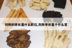 <b>�����ͤ����ʲôְλ,����ͤ���Ǹ�ʲô��</b>