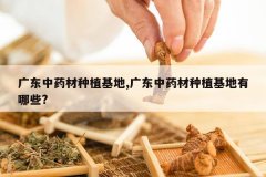 <b>�㶫��ҩ����ֲ����,�㶫��ҩ����ֲ��������Щ?</b>