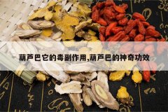 <b>��«�����Ķ�������,��«�͵����湦Ч</b>