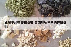 <b>������ҩ����ֲ����,ȫ��֪���в�ҩ��ֲ����</b>