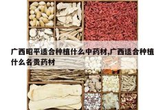 <b>������ƽ�ʺ���ֲʲô��ҩ��,�����ʺ���ֲʲô����ҩ��</b>