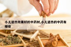 <b>Ԫ����ҩ��ҩ����ֲ,Ԫ����ҩ��ҩ����ֲ������</b>