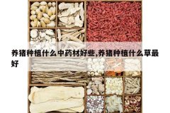 <b>������ֲʲô��ҩ�ĺ�Щ,������ֲʲô�����</b>