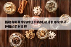 <b>��������Щ��ҩ��ֲ��ҩ��,��������Щ��ҩ��ֲ��ҩ������</b>