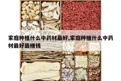 <b>��ͥ��ֲʲô��ҩ�����,��ͥ��ֲʲô��ҩ�������׬Ǯ</b>