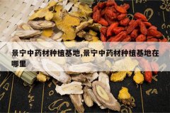 <b>������ҩ����ֲ����,������ҩ����ֲ����������</b>