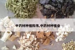 <b>��ҩ����ֲ��ΰ,��ҩ����ֲҵ</b>