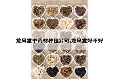 <b>��������ҩ����ֲ��˾,�����úò���</b>