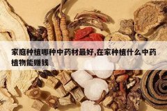 <b>��ͥ��ֲ������ҩ�����,�ڼ���ֲʲô��ҩֲ����׬Ǯ</b>