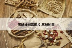 <b>����������ͼƬ,������ͼ</b>