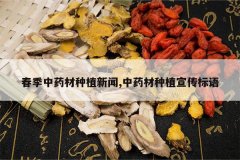 <b>������ҩ����ֲ����,��ҩ����ֲ��������</b>