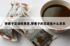 <b>ʹ���ӻ����Ԣ��,ʹ���ӵĻ�����ʲô��˼</b>