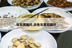 <b>��ʯӢͼƬ,��ɫʯӢʯͼƬ</b>