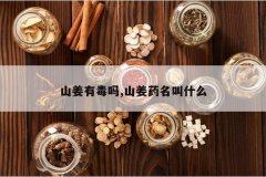 <b>ɽ���ж���,ɽ��ҩ����ʲô</b>