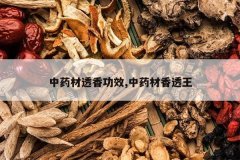 <b>��ҩ��͸�㹦Ч,��ҩ����͸��</b>