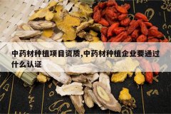 <b>��ҩ����ֲ��Ŀ����,��ҩ����ֲ��ҵҪͨ��ʲô��֤</b>