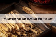 <b>��ҩ�Ļƽ������빦Ч,��ҩ�ƽ���ʲôҩ��</b>