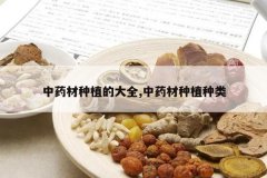 <b>��ҩ����ֲ�Ĵ�ȫ,��ҩ����ֲ����</b>