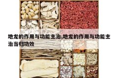 <b>�����������빦������,�����������빦�����ε��鹦Ч</b>