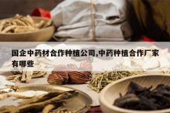 <b>������ҩ�ĺ�����ֲ��˾,��ҩ��ֲ������������Щ</b>