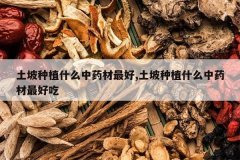 <b>������ֲʲô��ҩ�����,������ֲʲô��ҩ����ó�</b>