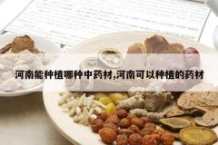 <b>��������ֲ������ҩ��,���Ͽ�����ֲ��ҩ��</b>