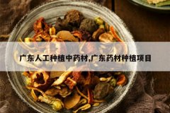 <b>�㶫�˹���ֲ��ҩ��,�㶫ҩ����ֲ��Ŀ</b>