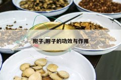 <b>����,���ӵĹ�Ч������</b>