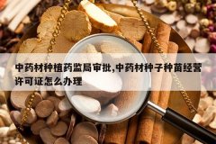 <b>��ҩ����ֲҩ�������,��ҩ���������羭Ӫ����֤��ô����</b>