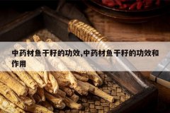 <b>��ҩ������ѵĹ�Ч,��ҩ������ѵĹ�Ч������</b>