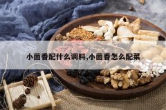 <b>С������ʲô����,С������ô���</b>