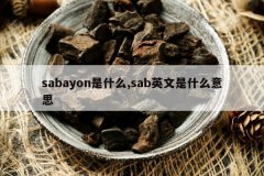 <b>sabayon��ʲô,sabӢ����ʲô��˼</b>