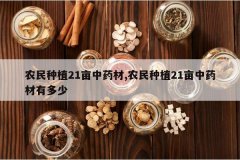 <b>ũ����ֲ21Ķ��ҩ��,ũ����ֲ21Ķ��ҩ���ж���</b>