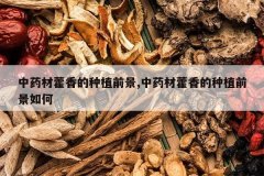 <b>��ҩ��޽�����ֲǰ��,��ҩ��޽�����ֲǰ�����</b>