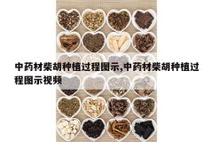 <b>��ҩ�Ĳ����ֲ����ͼʾ,��ҩ�Ĳ����ֲ����ͼʾ��Ƶ</b>