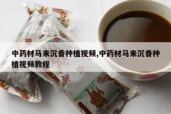 <b>��ҩ������������ֲ��Ƶ,��ҩ������������ֲ��Ƶ�̳�</b>