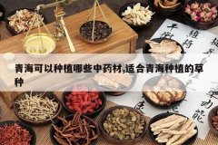 <b>�ຣ������ֲ��Щ��ҩ��,�ʺ��ຣ��ֲ�Ĳ���</b>