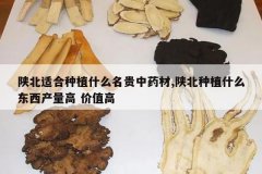 <b>�±��ʺ���ֲʲô������ҩ��,�±���ֲʲô���������� ��ֵ��</b>