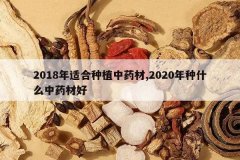 <b>2018���ʺ���ֲ��ҩ��,2020����ʲô��ҩ�ĺ�</b>