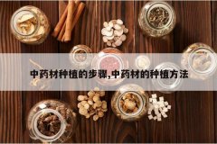 <b>��ҩ����ֲ�Ĳ���,��ҩ�ĵ���ֲ����</b>