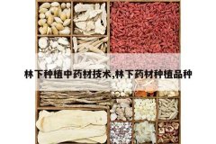 <b>������ֲ��ҩ�ļ���,����ҩ����ֲƷ��</b>