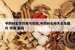 <b>��ҩ�����������빦Ч,��ҩ�����ƴ�ȫ��ͼƬ ���� ��˵</b>