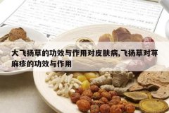 <b>�����ݵĹ�Ч�����ö�Ƥ����,����ݶ�ݡ����Ĺ�Ч������</b>